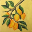 Citrony, formt 15x15 cm