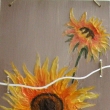 Triptych slunečnice