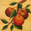 Jablka, formt 15x15 cm