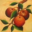 Jablka, form�t 15x15 cm